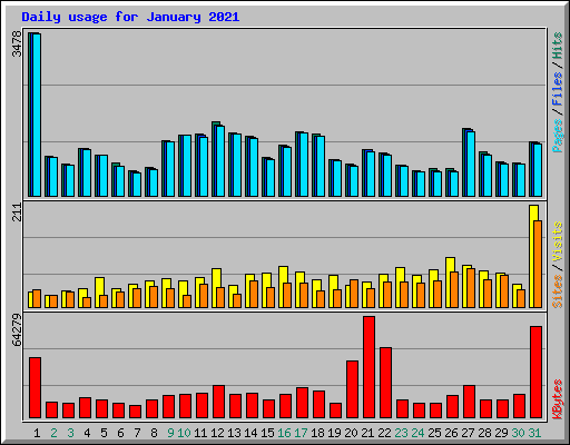 Daily usage for January 2021