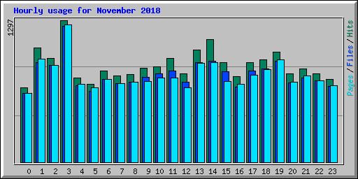 Hourly usage for November 2018