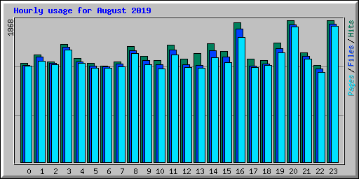 Hourly usage for August 2019