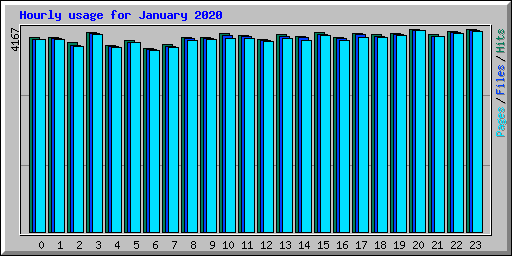 Hourly usage for January 2020
