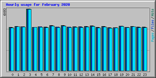 Hourly usage for February 2020