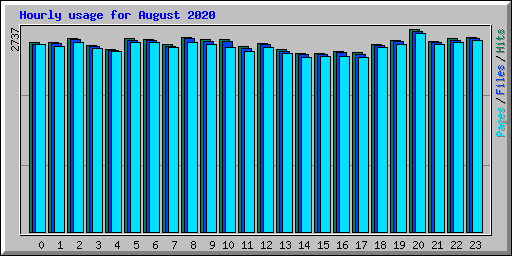 Hourly usage for August 2020