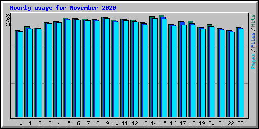 Hourly usage for November 2020