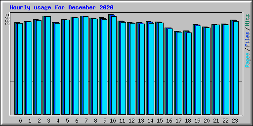 Hourly usage for December 2020