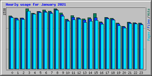Hourly usage for January 2021