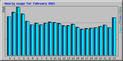 Hourly usage for February 2021