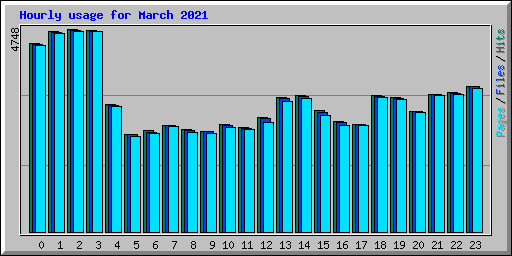 Hourly usage for March 2021